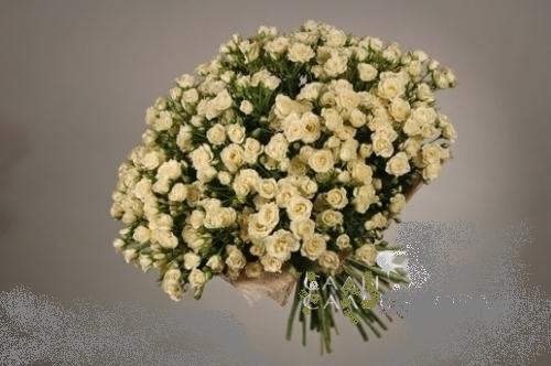 букет 07947( 25 кремовых кустовых роз)